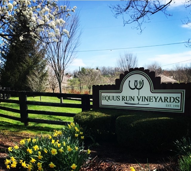 Visit the Vineyard, Taste the Experience | Equus Run Vineyards