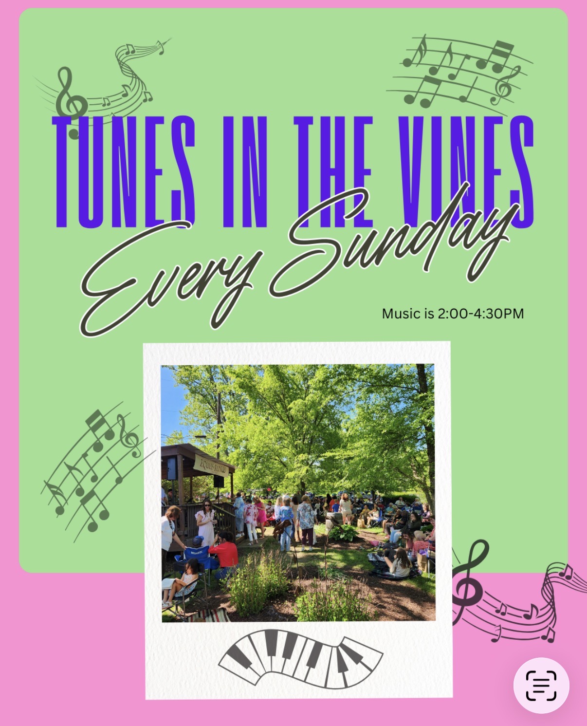 Tunes in the Vines